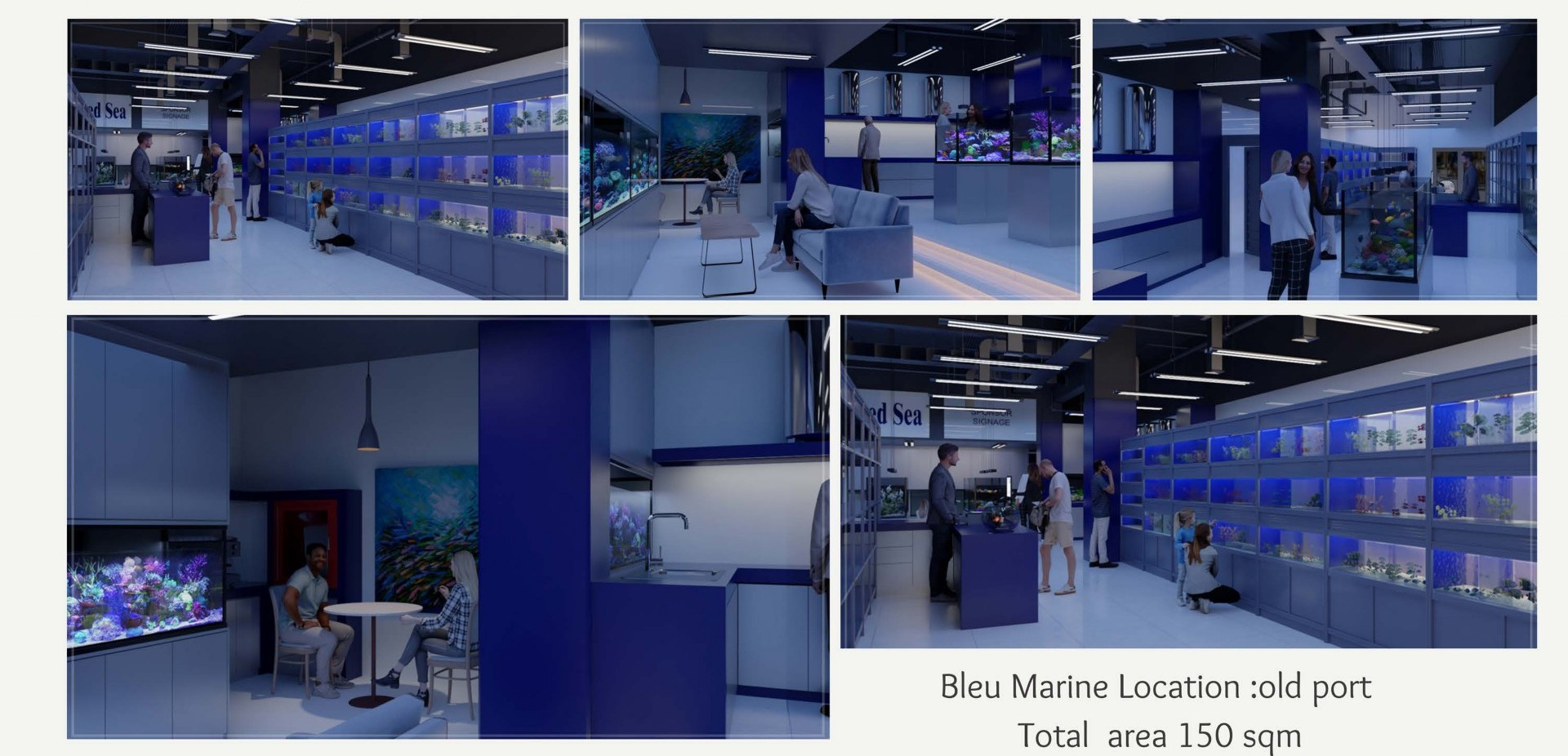 Bleu Marine